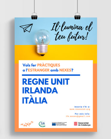 TLN Mobilicat 2019 affiche Nexes
