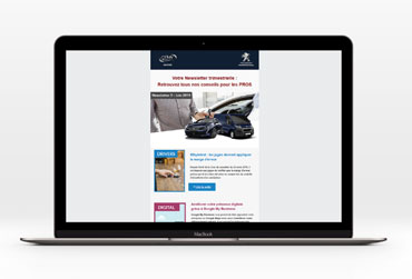 Newsletter professionnelle GEMY